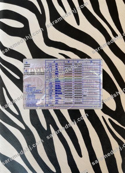 Andorra driving license photolook back
